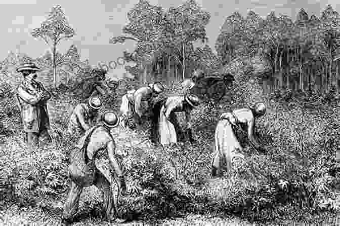 A Group Of Enslaved People Singing Work Songs While Working In A Field. Slave Songs Of The United States