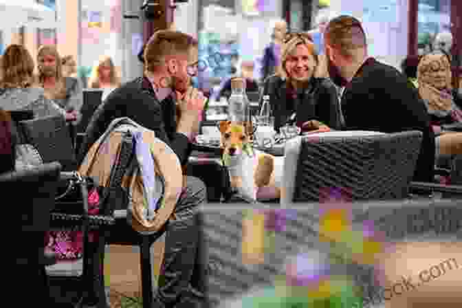 A Group Of People Speaking Hrvatski In A Lively Cafe In Zagreb, Croatia Visejezicni Rjecnik Hitnih Medicinskih Intervencija: Hrvatski Engleski Francuski Spanjolski Talijanski