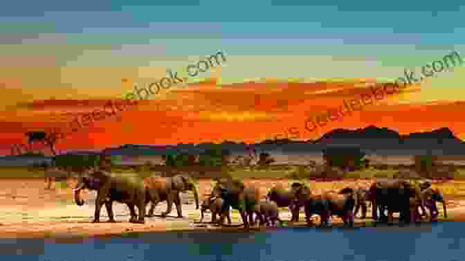 A Wide Angle View Of The African Savanna At Sunset, With A Herd Of Elephants Crossing The Vast Landscape. Photo Essay: Beauty Of Malta: Volume 64 (Travel Photo Essays)