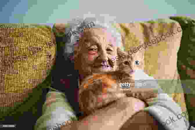 A Woman And Her Cat Cuddling On A Couch Best Friends Forever: Me And My Cat: What I Ve Learned About Life Love And Faith From My Cat