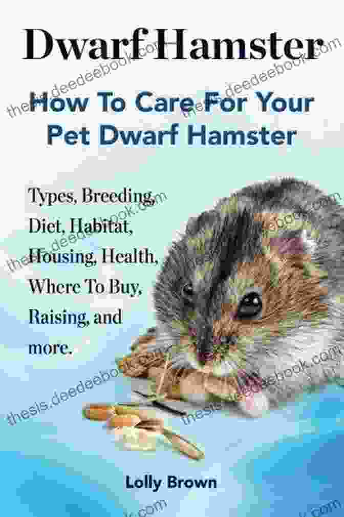 Holland Lop Rabbit Dwarf Hamster: Types Breeding Diet Habitat Housing Health Where To Buy Raising And More How To Care For Your Pet Dwarf Hamster