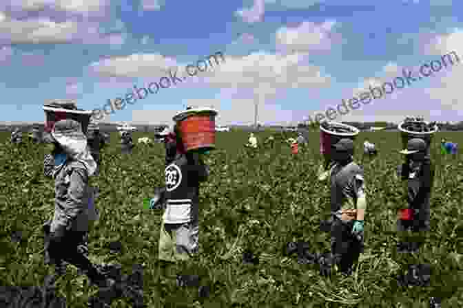 Migrant Farmworkers Toiling In The Fields Of The San Joaquin Valley The Elements Of San Joaquin: Poems