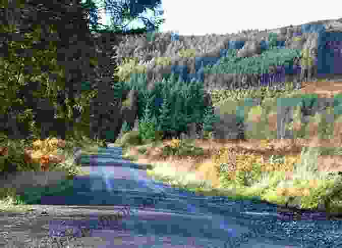 The A75 Road Snaking Through The Galloway Forest Park Is There A Straight Road In Scotland?