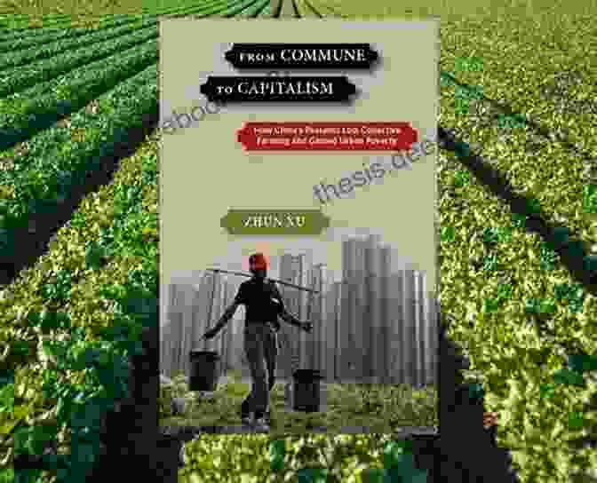 The Decline Of Agricultural Capitalism Rules Without Rights: Land Labor And Private Authority In The Global Economy (Transformations In Governance)