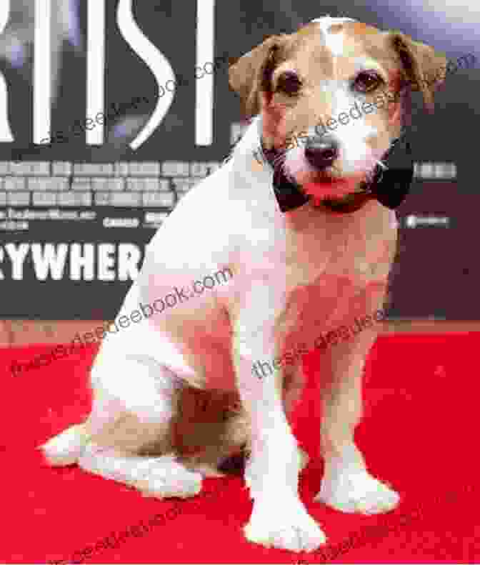 Uggie, The Jack Russell Terrier Star Of 'The Artist' Broadway Tails: Heartfelt Stories Of Rescued Dogs Who Became Showbiz Superstars
