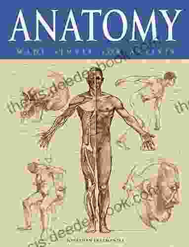 Anatomy Made Simple For Artists