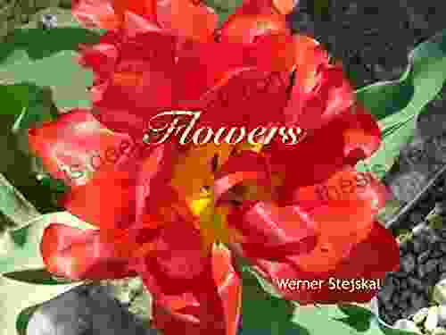 Flowers Werner Stejskal
