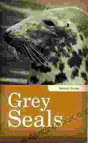 Grey Seals (Animals) Danae Little