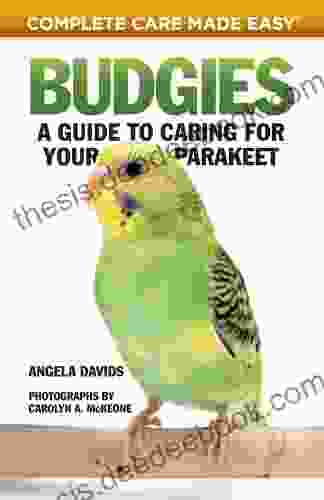 Budgies: A Guide To Caring For Your Parakeet (Complete Care Made Easy)