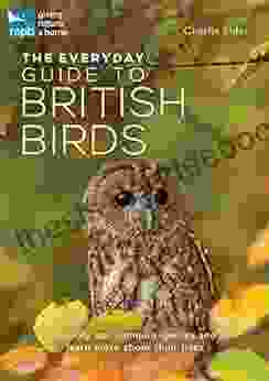 The Everyday Guide To British Birds: Identify Our Common Species And Learn More About Their Lives (RSPB Spotlight)
