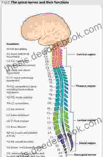 Neurosurgical Operative Atlas: Spine And Peripheral Nerves