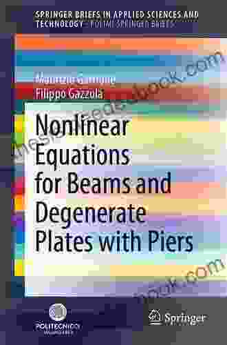 Nonlinear Equations For Beams And Degenerate Plates With Piers (SpringerBriefs In Applied Sciences And Technology)