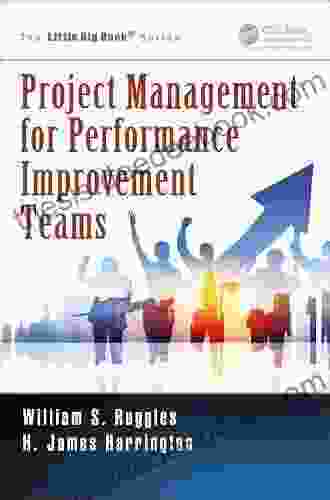 Project Management For Performance Improvement Teams (The Little Big Series)