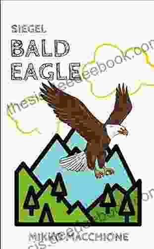 Siegel Bald Eagle (No Such Thing As A Regular Bird 6)