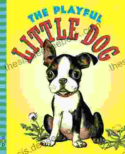 The Playful Little Dog (G D Vintage)