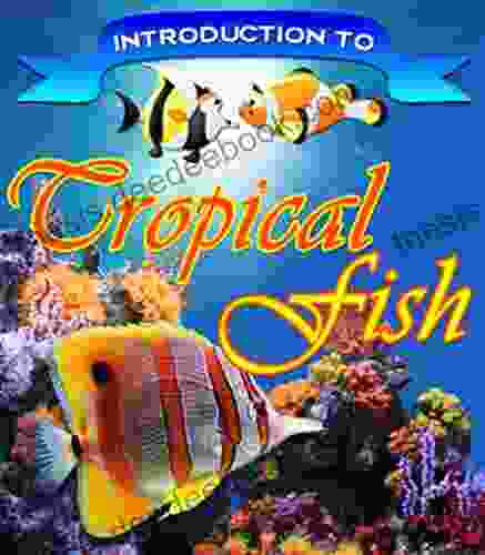 Tropical Fish Lolly Brown